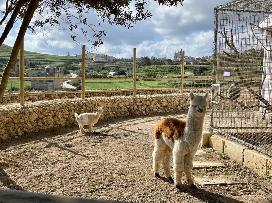 Villa Luxury Surrounded With Nature & Farm Animals Alpacas Etc *