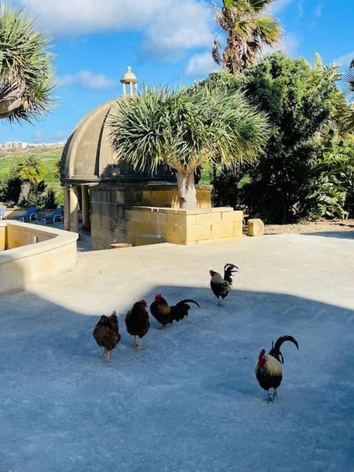 Luxury Surrounded With Nature & Farm Animals Alpacas Etc Villa