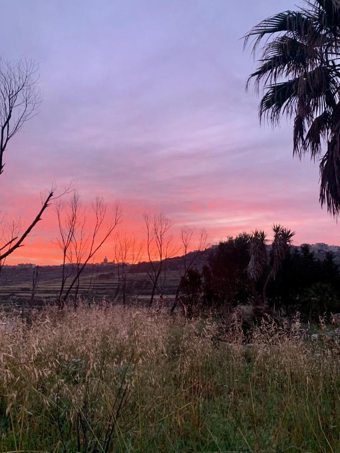 Luxury Surrounded With Nature & Farm Animals Alpacas Etc Villa Għasri